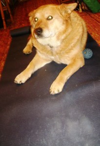 ???????????????????????????????