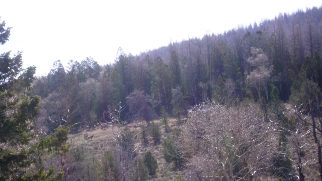 ???????????????????????????????