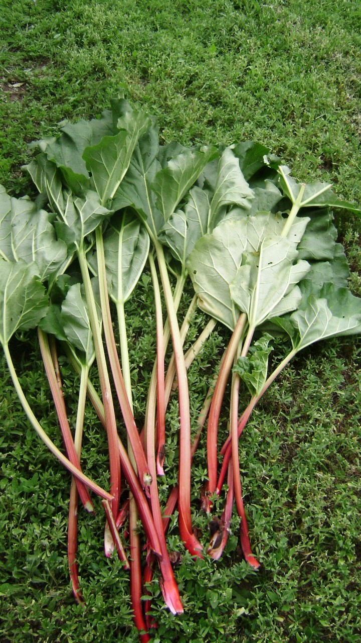 ???????????????????????????????